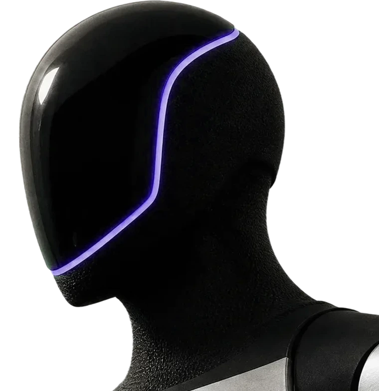 Humanoid robot